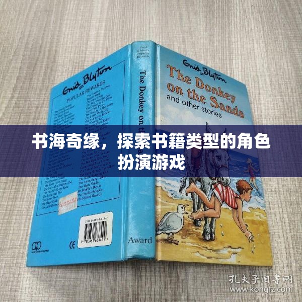 書海奇緣，探索書籍類型的角色扮演冒險(xiǎn)