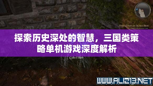 探索歷史深處的智慧，三國類策略單機游戲深度解析