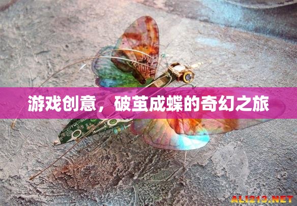 破繭成蝶，一場奇幻的冒險游戲之旅