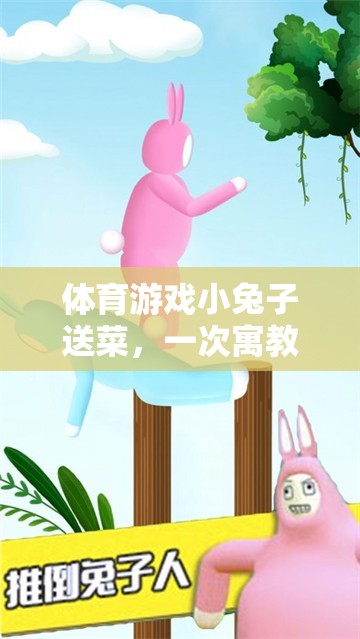 小兔子送菜，一次寓教于樂的體育游戲反思之旅