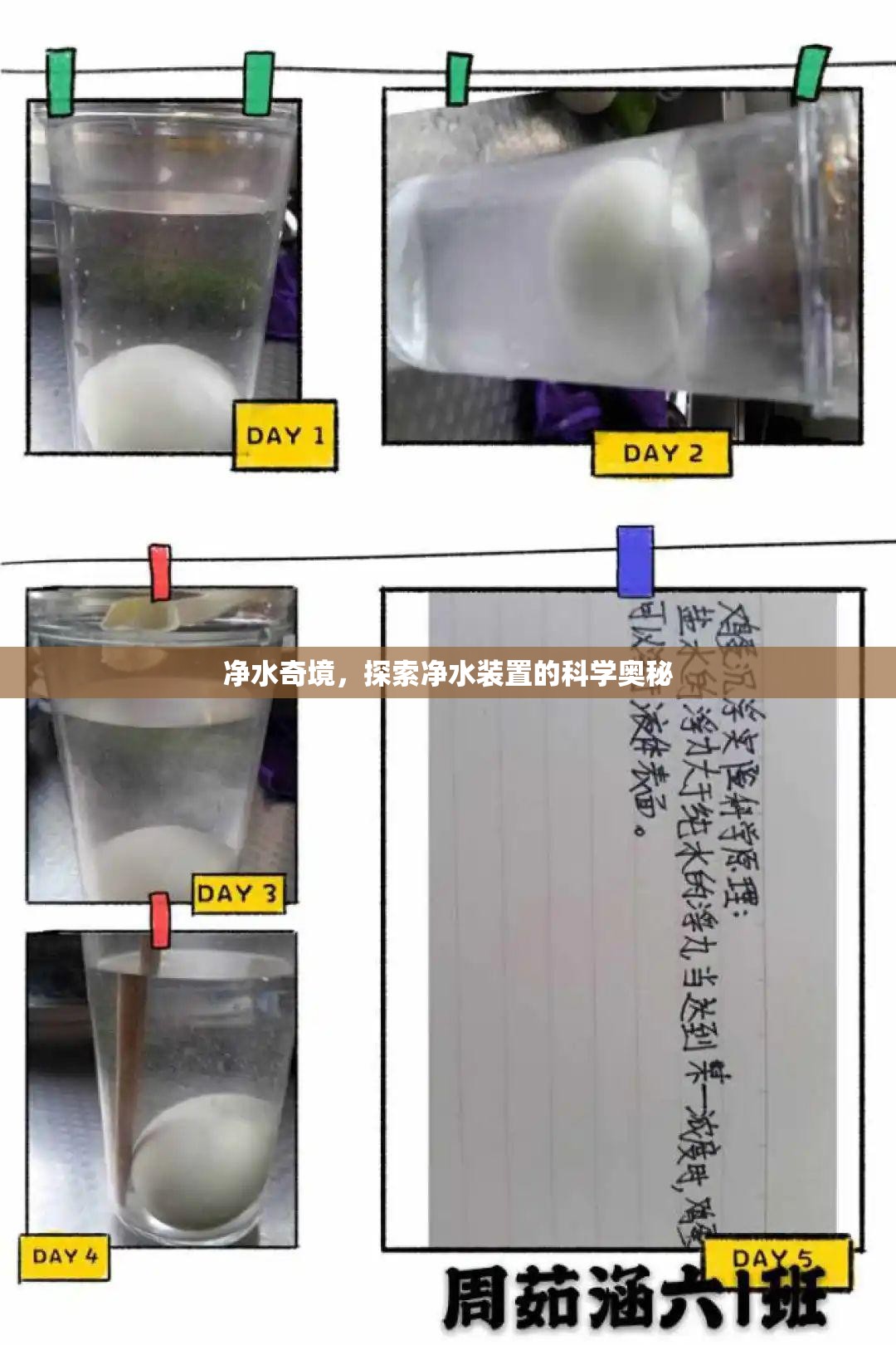 凈水奇境，揭秘凈水裝置的科學(xué)奧秘