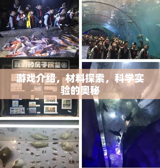 解鎖游戲中的科學(xué)奧秘，探索材料與實驗的奇幻之旅