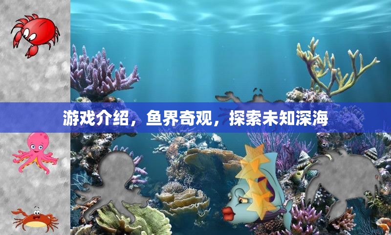 深海奇緣，探索未知的魚界奇觀