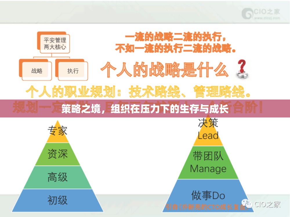 策略之境，組織在壓力下的生存與成長