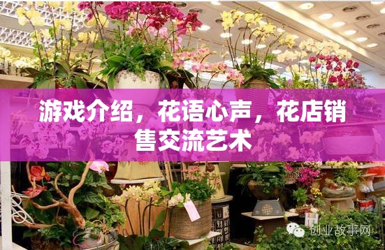 游戲介紹，花語心聲，花店銷售交流藝術(shù)