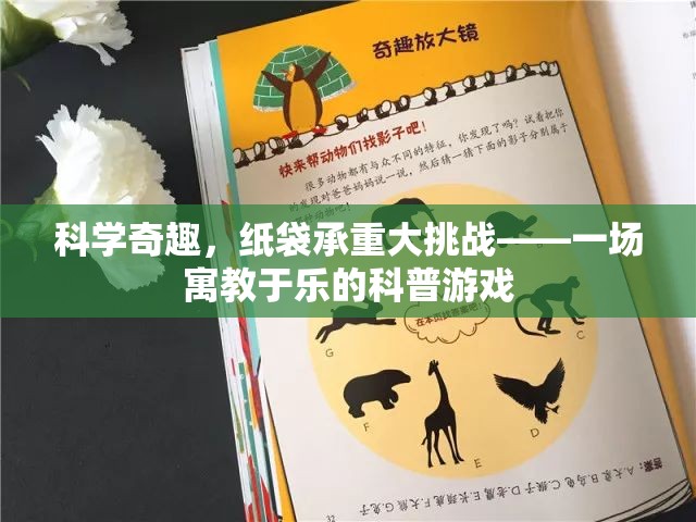 紙袋承重大挑戰(zhàn)，寓教于樂的科普游戲