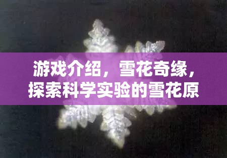 探索雪花之美，揭秘雪花奇緣中的科學(xué)實驗