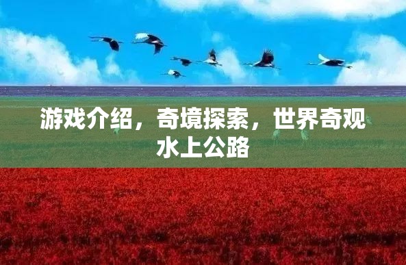 探索水上公路，奇境之旅的獨特體驗