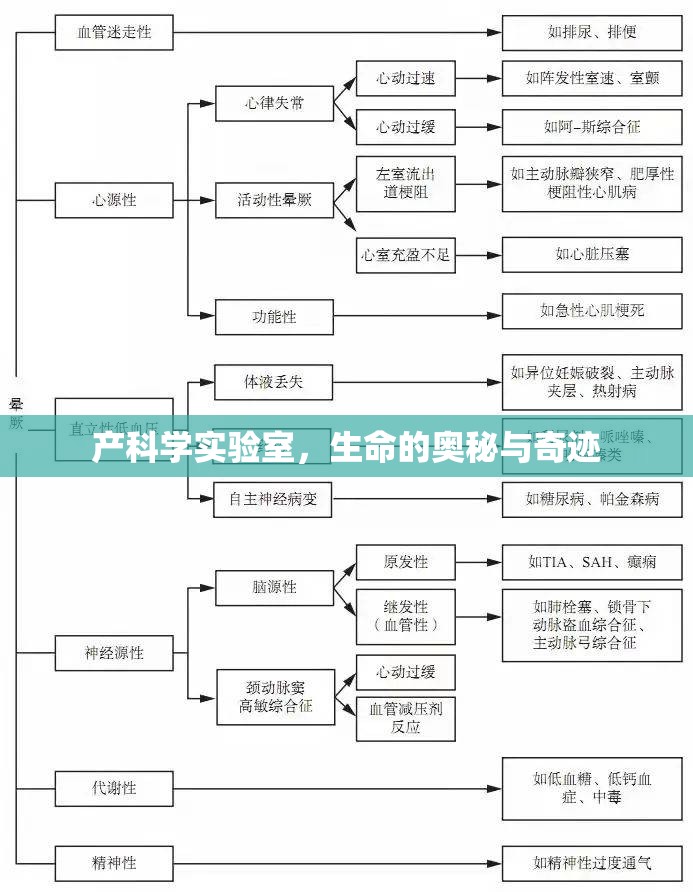 探索產科學實驗室，生命的奧秘與奇跡