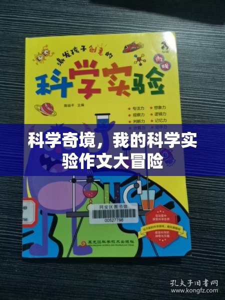 科學奇境，我的科學實驗作文大冒險