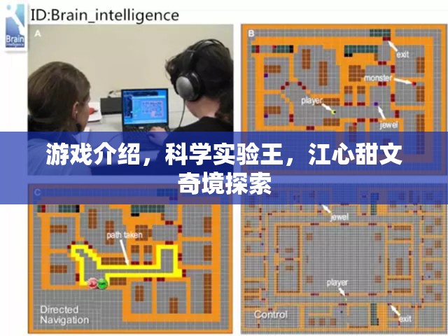 科學(xué)實驗王，江心甜與文奇境的奇幻探索之旅