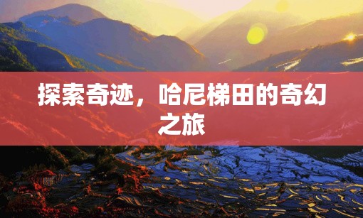 哈尼梯田，探索奇跡的奇幻之旅