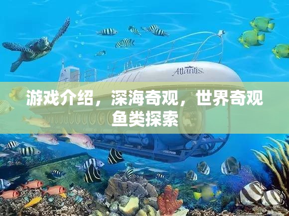 探索深海奇觀，揭秘世界奇觀魚(yú)類(lèi)