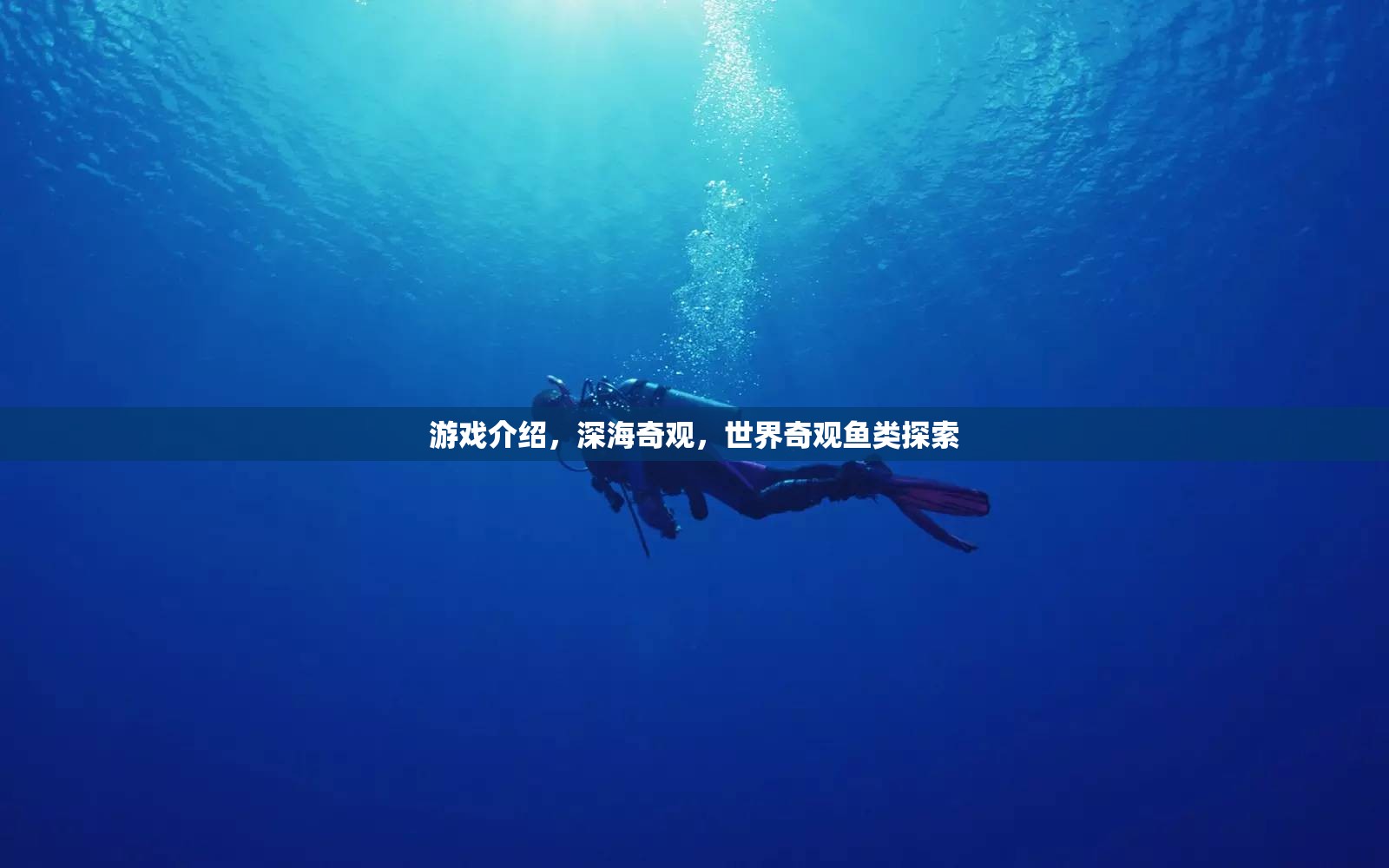 探索深海奇觀，揭秘世界奇觀魚類