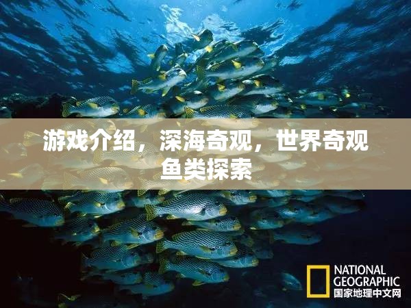 探索深海奇觀，揭秘世界奇觀魚類