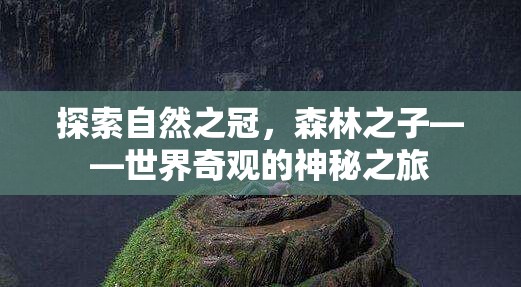 森林之子，探索自然之冠的神秘之旅