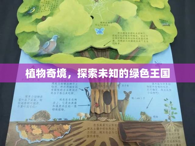 探索未知的綠色王國(guó)，植物奇境的奧秘之旅