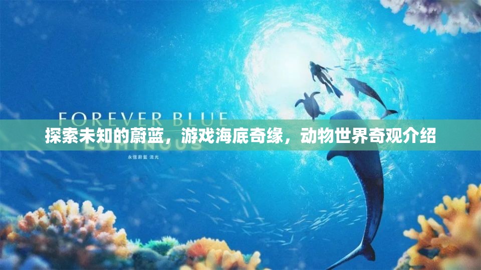 探索海底奇緣，揭秘游戲中的動物世界奇觀