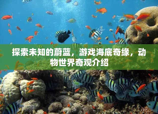 探索海底奇緣，揭秘游戲中的動物世界奇觀