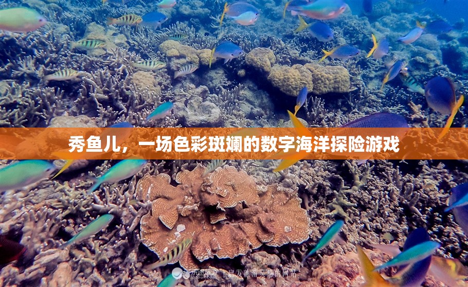 秀魚兒，色彩斑斕的數(shù)字海洋探險之旅  第3張