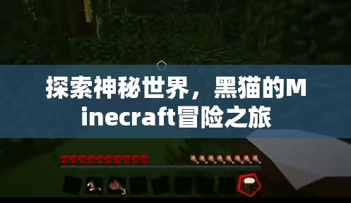 黑貓的Minecraft冒險，探索神秘世界的奇幻之旅  第1張