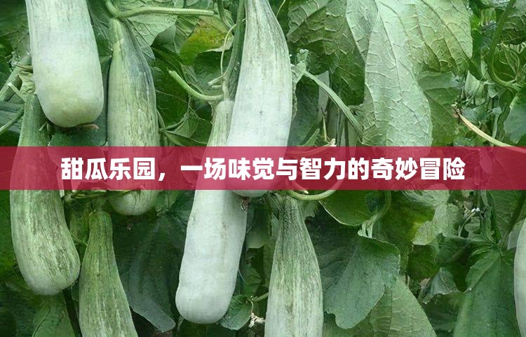 甜瓜樂園，味覺與智力的雙重奇境冒險  第2張