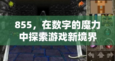 探索數(shù)字855，解鎖游戲新境界的魔力  第3張