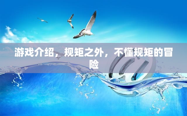 規(guī)矩之外，不懂規(guī)矩的冒險(xiǎn)之旅  第3張