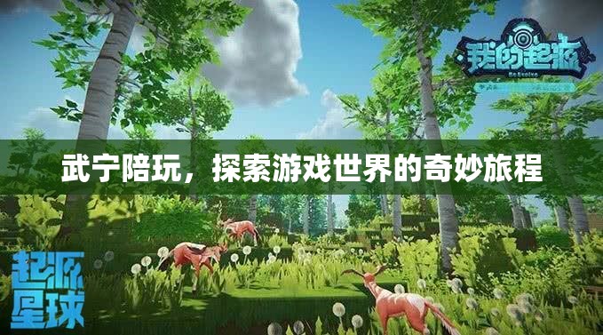 武寧陪玩，解鎖游戲世界的奇妙探險(xiǎn)