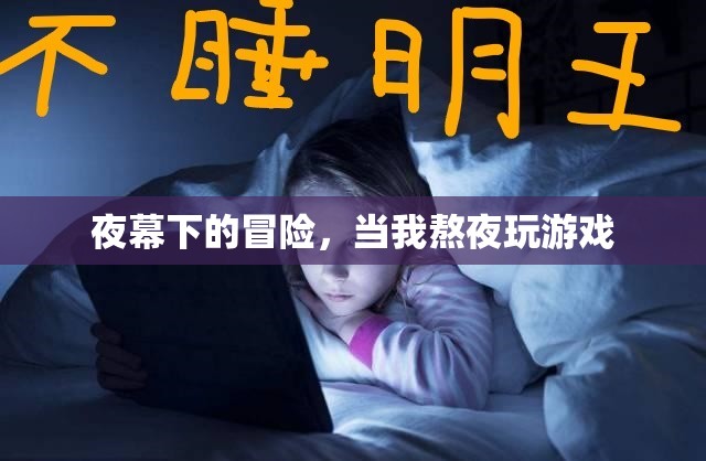 夜幕下的冒險(xiǎn)，我的熬夜游戲之旅