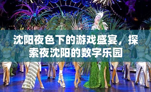 夜沈陽的數(shù)字樂園，探索沈陽夜色下的游戲盛宴  第1張