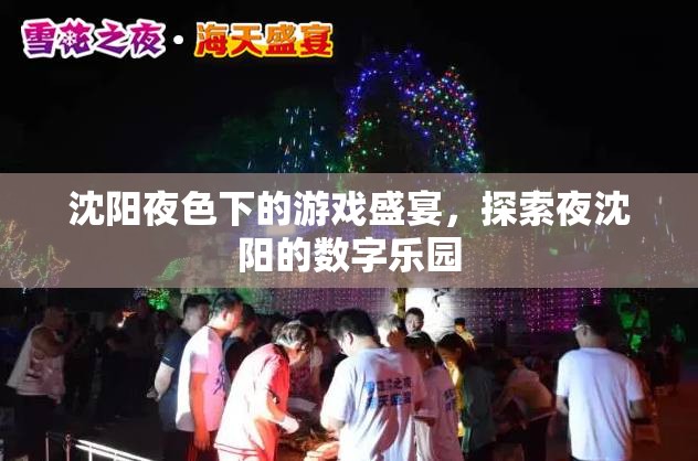 夜沈陽的數(shù)字樂園，探索沈陽夜色下的游戲盛宴  第2張