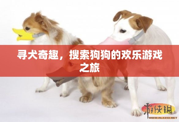 尋犬奇趣，狗狗搜索的歡樂冒險之旅  第2張