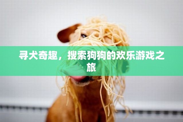 尋犬奇趣，狗狗搜索的歡樂冒險之旅  第1張