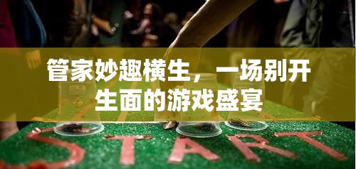 管家妙趣橫生，一場別開生面的游戲盛宴  第2張