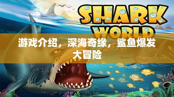 深海奇緣，鯊魚爆發(fā)大冒險