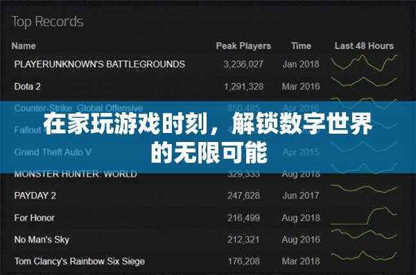 解鎖數(shù)字世界的無限可能，在家游戲時光的奇妙之旅