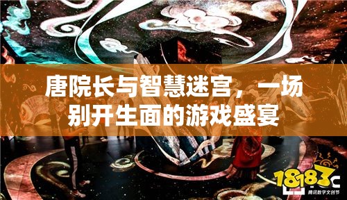 唐院長(zhǎng)與智慧迷宮，一場(chǎng)別開(kāi)生面的游戲盛宴