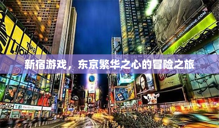 新宿游戲，東京繁華之心的冒險(xiǎn)之旅  第3張