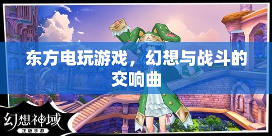 東方電玩游戲，幻想與戰(zhàn)斗的交響曲  第1張