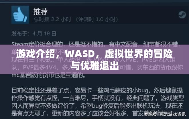 WASD，虛擬世界的冒險(xiǎn)與優(yōu)雅退出  第2張