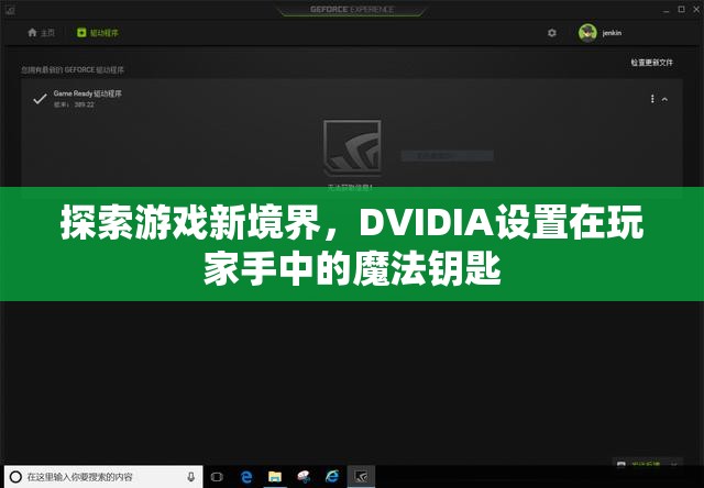 探索游戲新境界，DVIDIA——玩家手中的魔法鑰匙