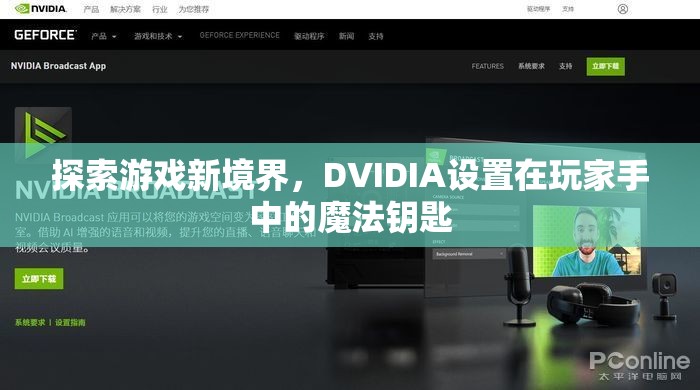 探索游戲新境界，DVIDIA——玩家手中的魔法鑰匙