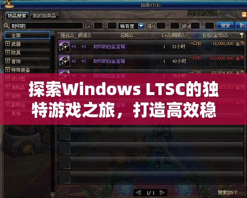 Windows LTSC，打造高效穩(wěn)定的游戲平臺，開啟獨特游戲之旅  第1張