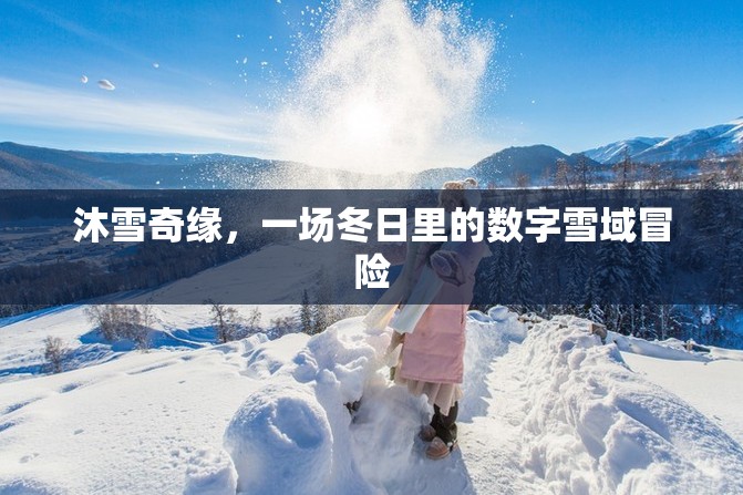 冬日奇緣，沐雪奇緣的數(shù)字雪域冒險(xiǎn)