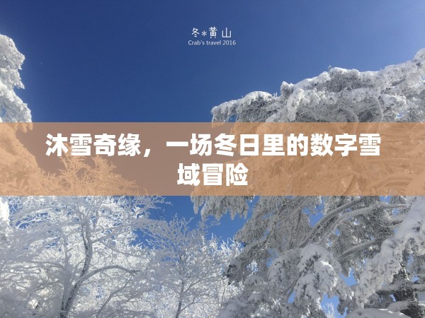 冬日奇緣，沐雪奇緣的數(shù)字雪域冒險(xiǎn)