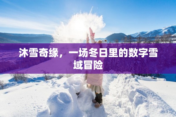 冬日奇緣，沐雪奇緣的數(shù)字雪域冒險(xiǎn)