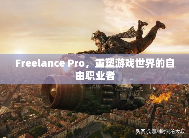 重塑游戲世界的自由職業(yè)者，F(xiàn)reelance Pro的崛起  第1張