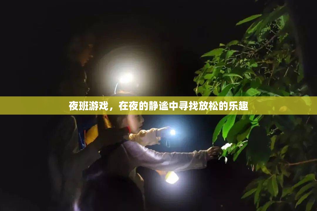 夜幕下的放松之旅，探索夜班游戲的樂(lè)趣  第2張