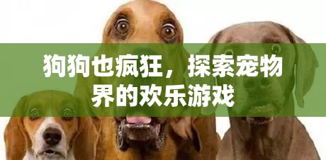 狗狗也瘋狂，探索寵物界的歡樂游戲